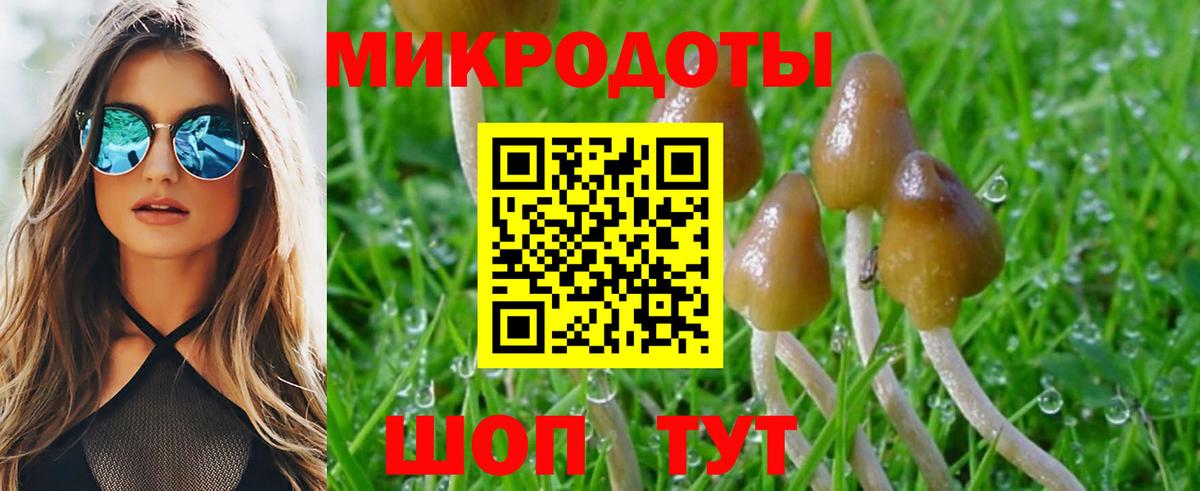 Галлюциногенные грибы прущие грибы  Вход с VPN  Алексеевка 